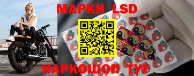 гидропоника Гусев