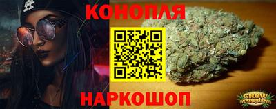 гидропоника Гусев