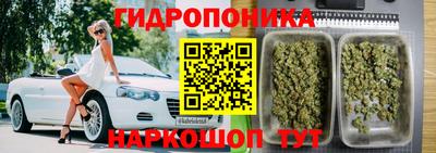 ECSTASY Гусиноозёрск